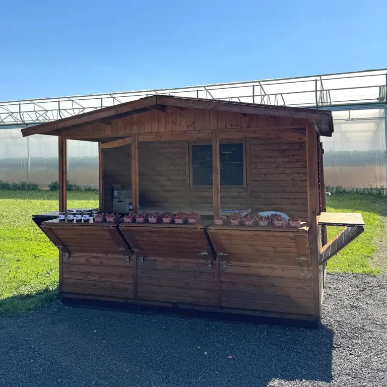 chalet de vente